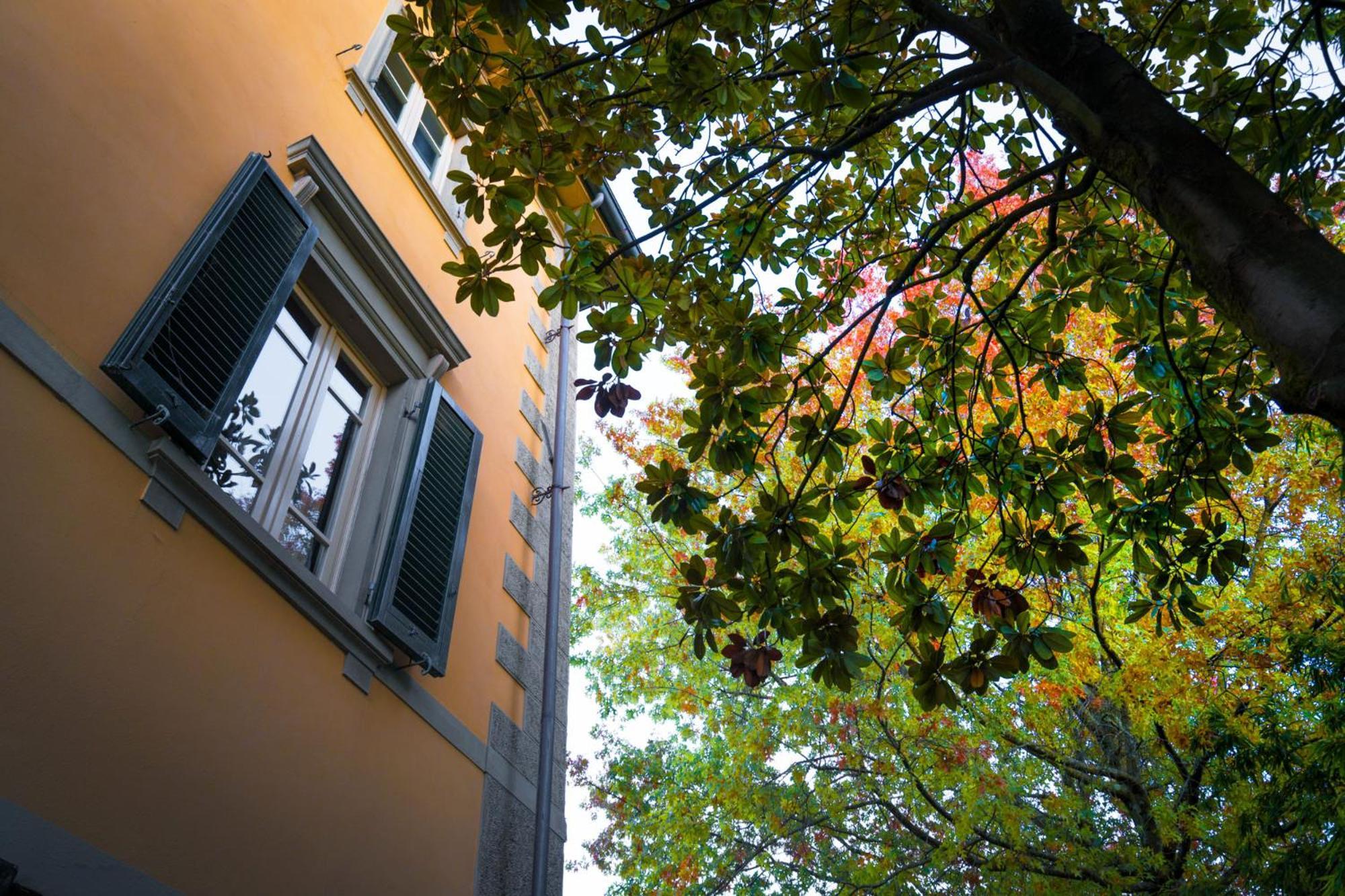 Villa Ines Charme Near Lucca อัลโตพาสซิโอ ภายนอก รูปภาพ